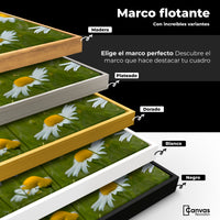 Cuadros Decorativos Canvas Revolution | Danza Entre Flores | ColoresMarco