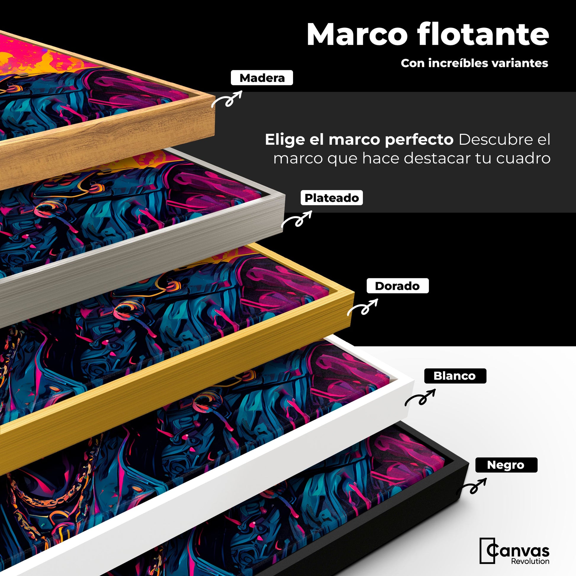 Cuadros Decorativos Canvas Revolution | Destellos Felinos | ColoresMarco