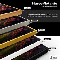 Cuadros Decorativos Canvas Revolution | Ecos Celestiales | ColoresMarco