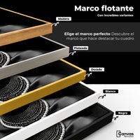 Cuadros Decorativos Canvas Revolution | Elegancia En Sombra | ColoresMarco