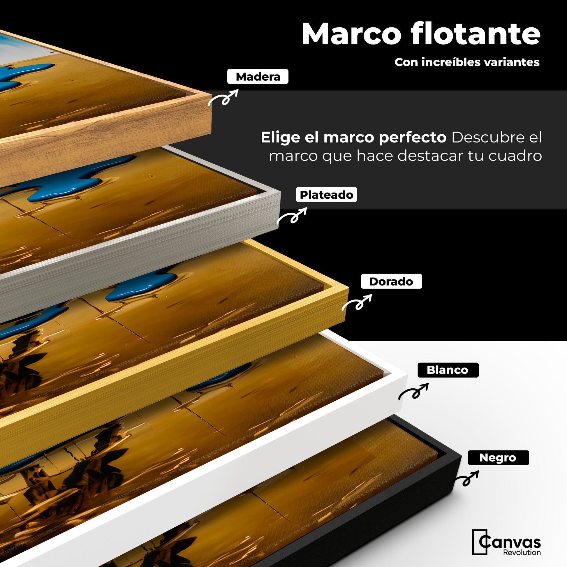 Cuadros Decorativos Canvas Revolution | Elegancia Felina | ColoresMarco