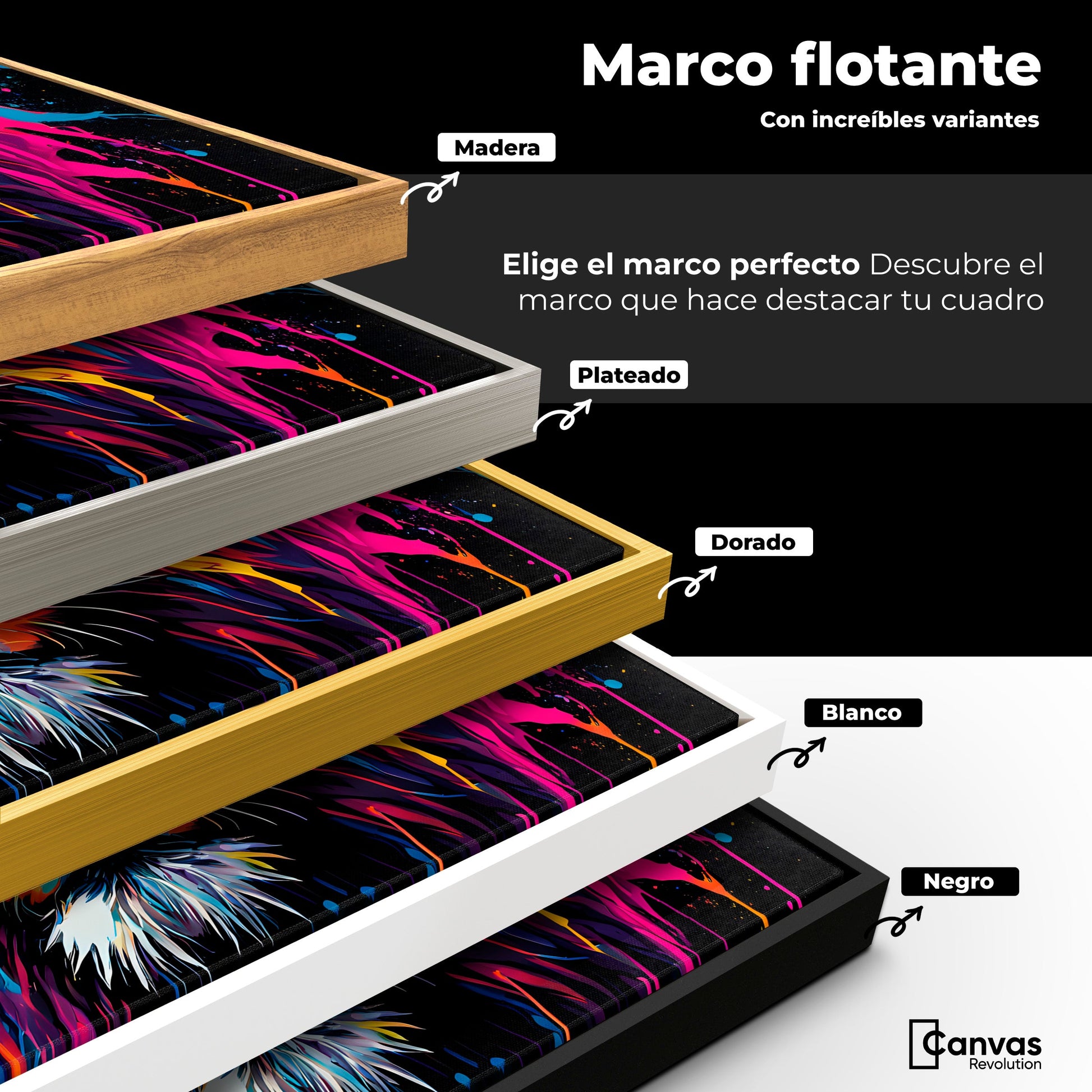 Cuadros Decorativos Canvas Revolution | Esplendor Salvaje | ColoresMarco