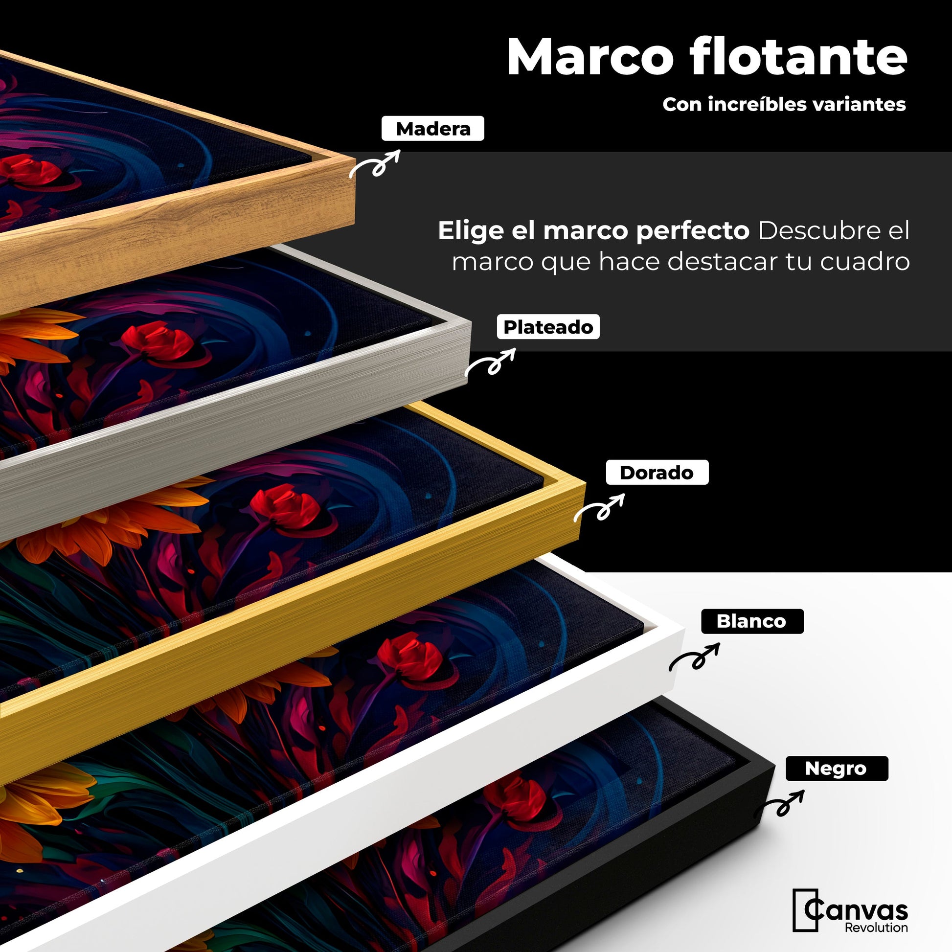 Cuadros Decorativos Canvas Revolution | Explosion Flores | ColoresMarco