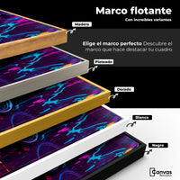 Cuadros Decorativos Canvas Revolution | Explosion Retro | ColoresMarco