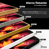 Cuadros Decorativos Canvas Revolution | Flor Del Misterio | ColoresMarco