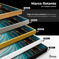 Cuadros Decorativos Canvas Revolution | Fragmentos Liquidos | ColoresMarco
