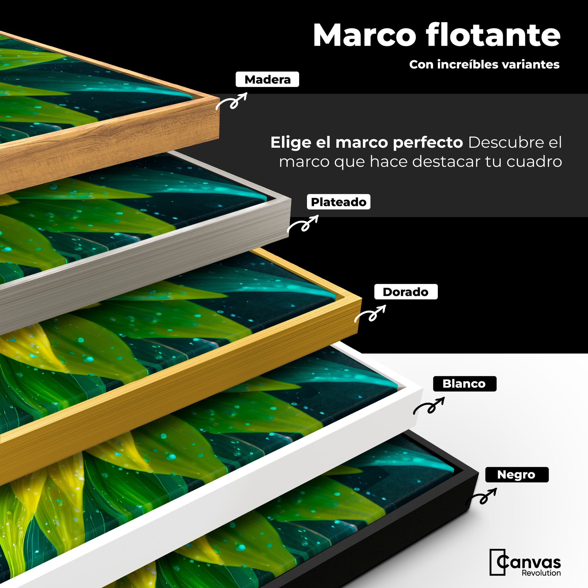 Cuadros Decorativos Canvas Revolution | Fulgor De Girasol | ColoresMarco