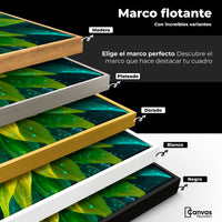 Cuadros Decorativos Canvas Revolution | Fulgor De Girasol | ColoresMarco