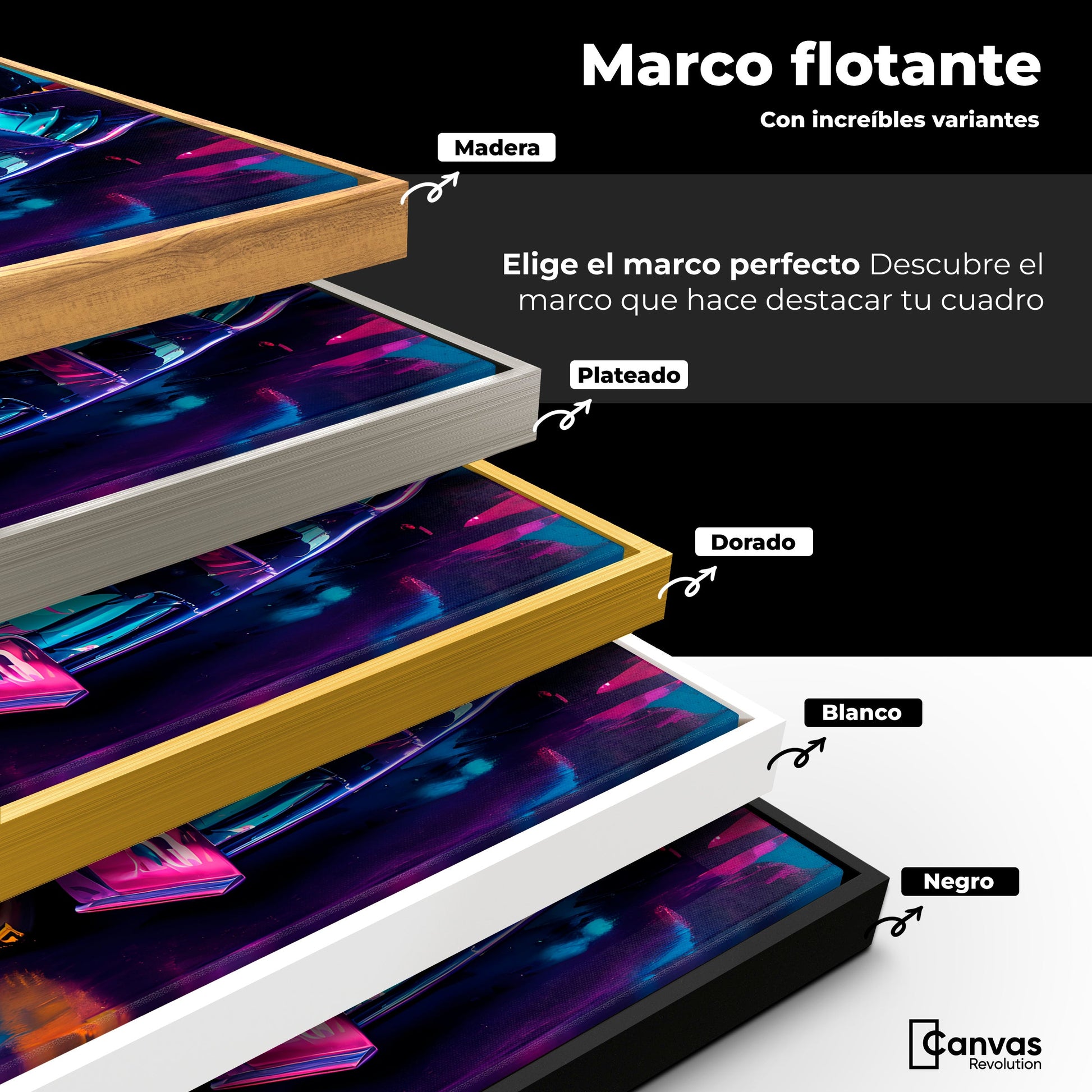 Cuadros Decorativos Canvas Revolution | Furia Multicolor | ColoresMarco