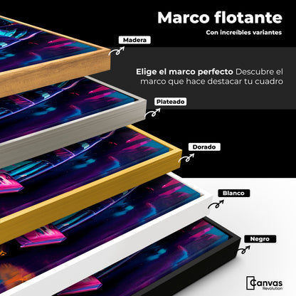 Cuadros Decorativos Canvas Revolution | Furia Multicolor | ColoresMarco