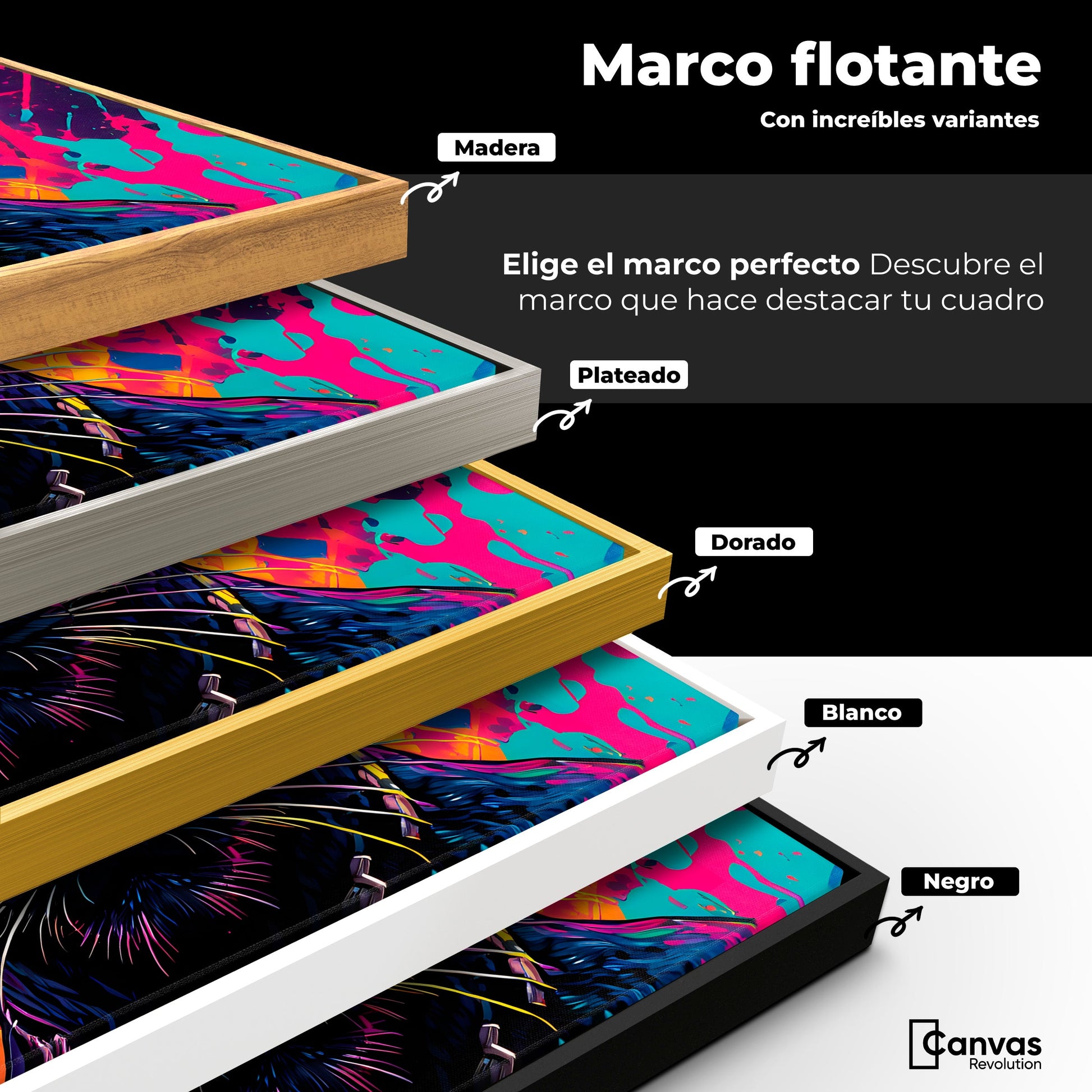 Cuadros Decorativos Canvas Revolution | Fusion Salvaje | ColoresMarco