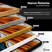 Cuadros Decorativos Canvas Revolution | Geometria Natural | ColoresMarco
