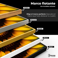 Cuadros Decorativos Canvas Revolution | Girasol Cercano | ColoresMarco