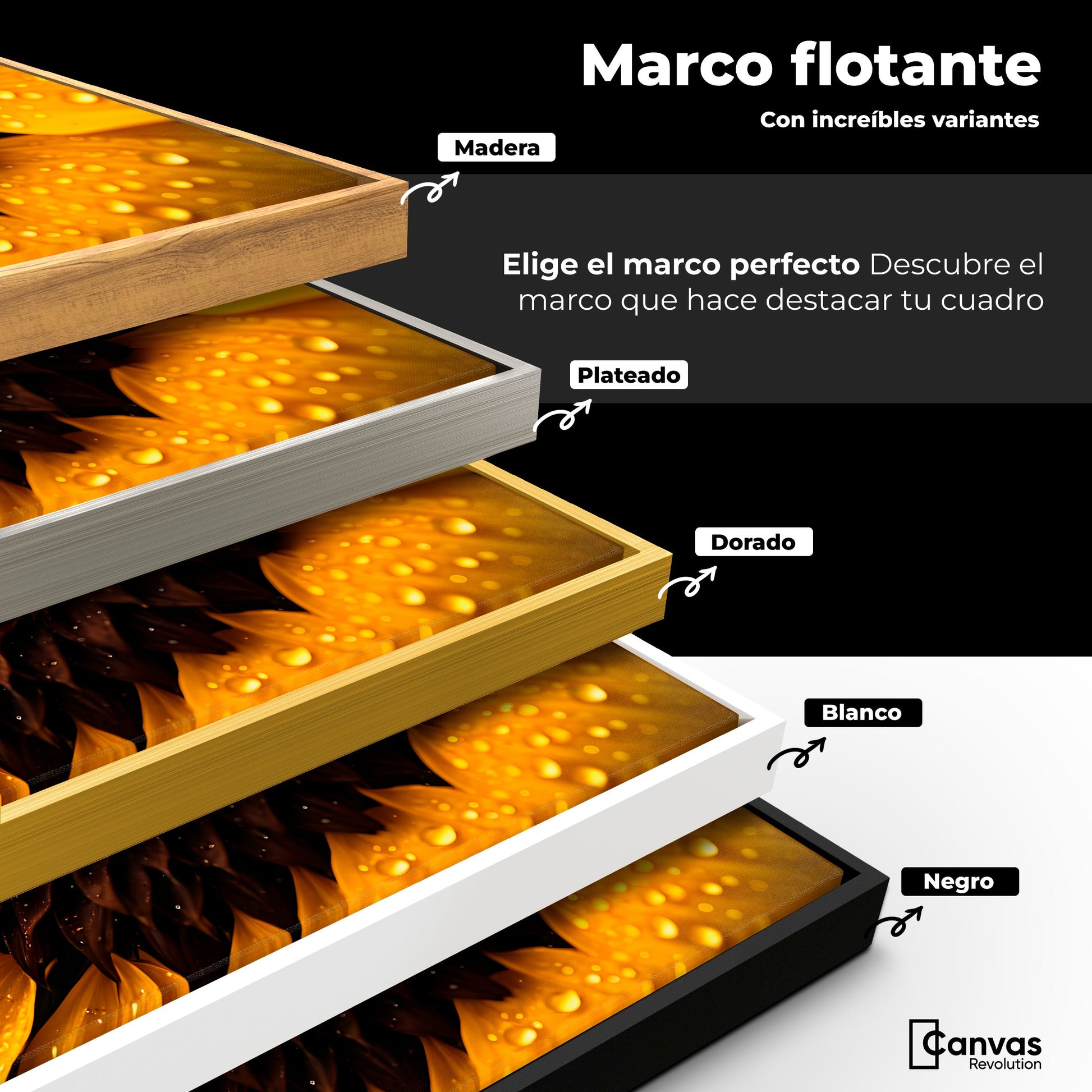 Cuadros Decorativos Canvas Revolution | Girasol Luz Dorada | ColoresMarco