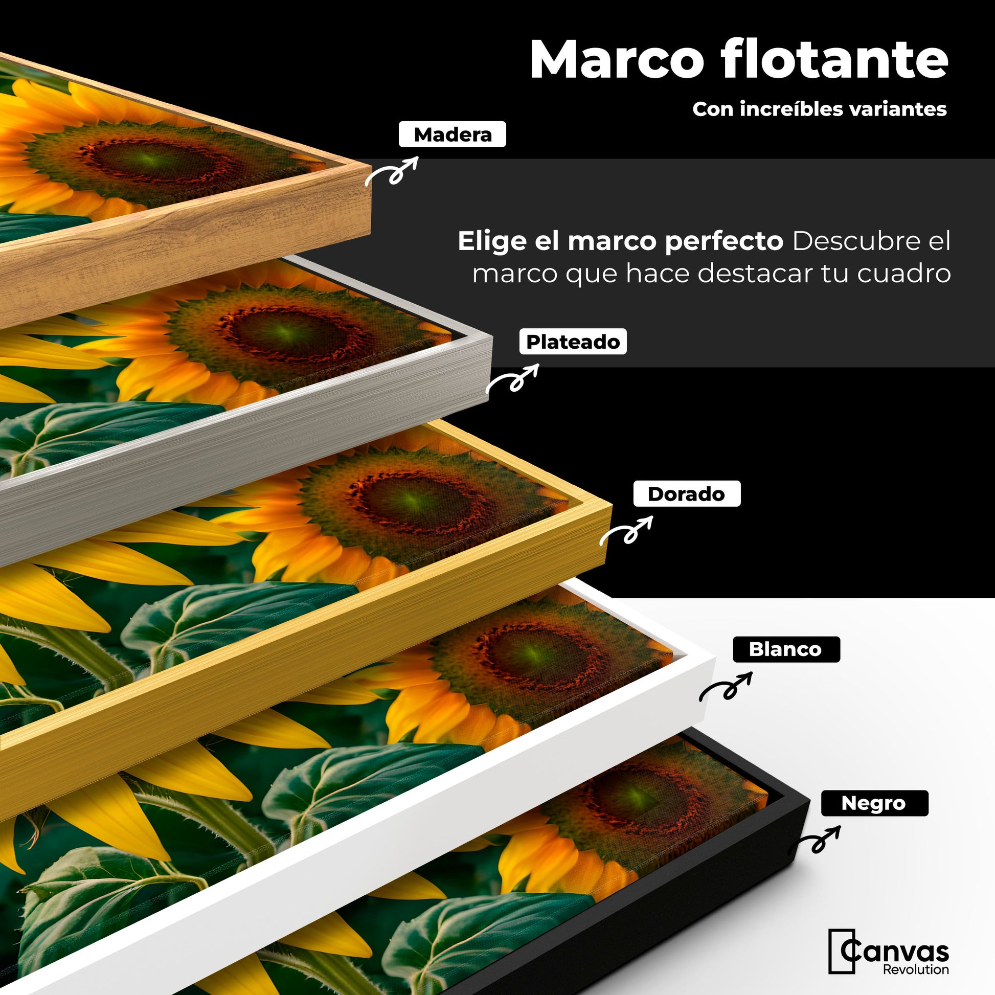 Cuadros Decorativos Canvas Revolution | Girasol Y Colores | ColoresMarco