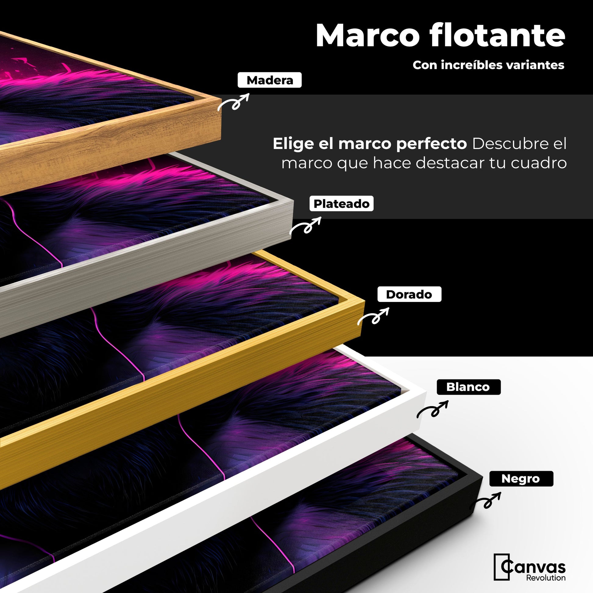 Cuadros Decorativos Canvas Revolution | Gorila Electronico | ColoresMarco