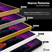 Cuadros Decorativos Canvas Revolution | Guitarrista Colores | ColoresMarco