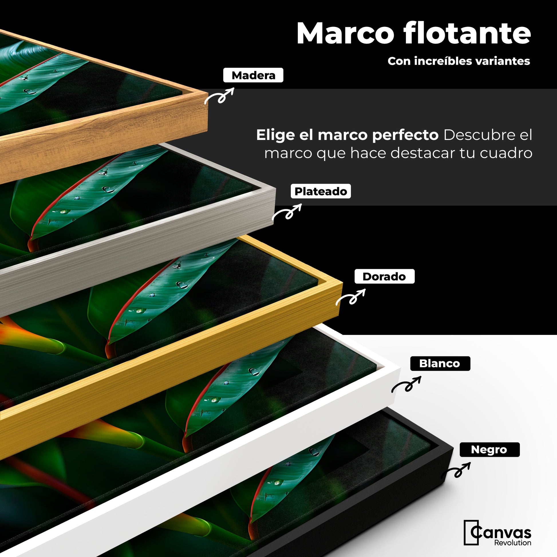 Cuadros Decorativos Canvas Revolution | Heliconia Pura Vida | ColoresMarco
