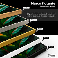 Cuadros Decorativos Canvas Revolution | Heliconia Pura Vida | ColoresMarco