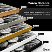 Cuadros Decorativos Canvas Revolution | Leon Celeste | ColoresMarco