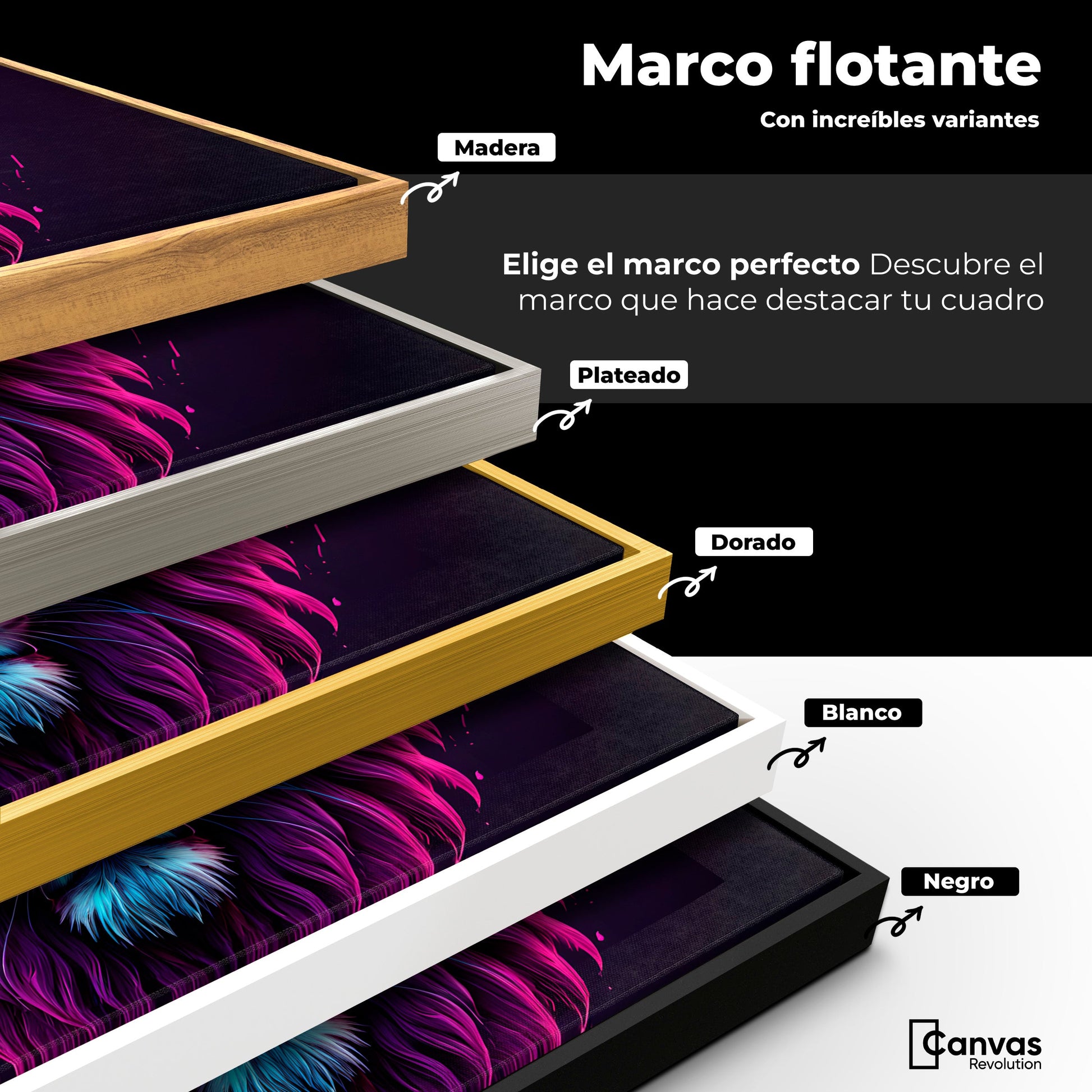 Cuadros Decorativos Canvas Revolution | Leon Electronico | ColoresMarco
