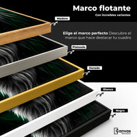 Cuadros Decorativos Canvas Revolution | Leon Radiante | ColoresMarco