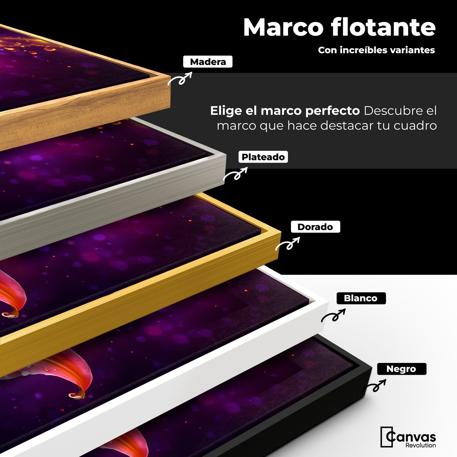 Cuadros Decorativos Canvas Revolution | Lirio Celestial | ColoresMarco