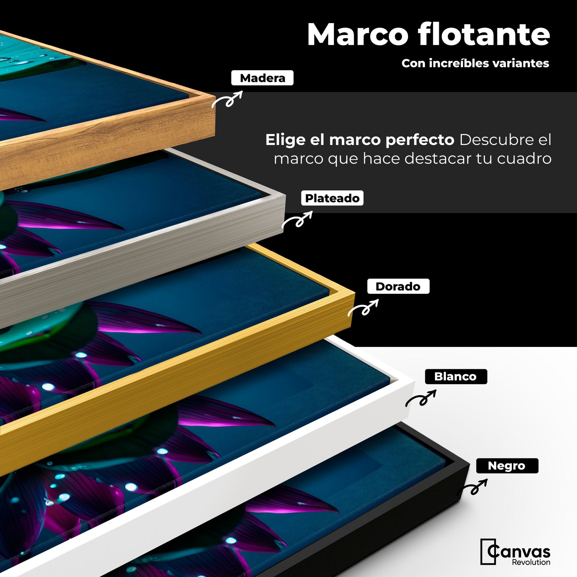 Cuadros Decorativos Canvas Revolution | Loto Brillo Divino | ColoresMarco