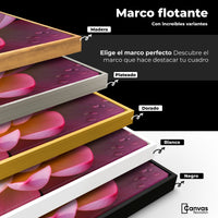 Cuadros Decorativos Canvas Revolution | Loto Dual Radiante | ColoresMarco
