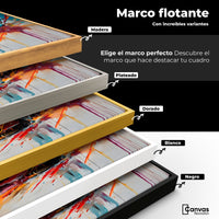 Cuadros Decorativos Canvas Revolution | Lotus Deportivo | ColoresMarco