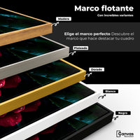 Cuadros Decorativos Canvas Revolution | Magia De Camelia | ColoresMarco