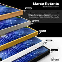 Cuadros Decorativos Canvas Revolution | Magia Flor Iris | ColoresMarco