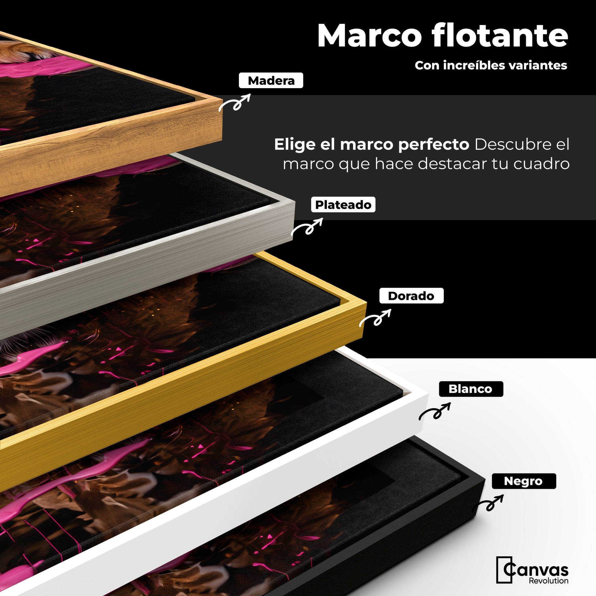 Cuadros Decorativos Canvas Revolution | Majestad Rosada | ColoresMarco