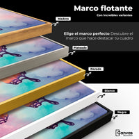 Cuadros Decorativos Canvas Revolution | Mariposa Celeste | ColoresMarco