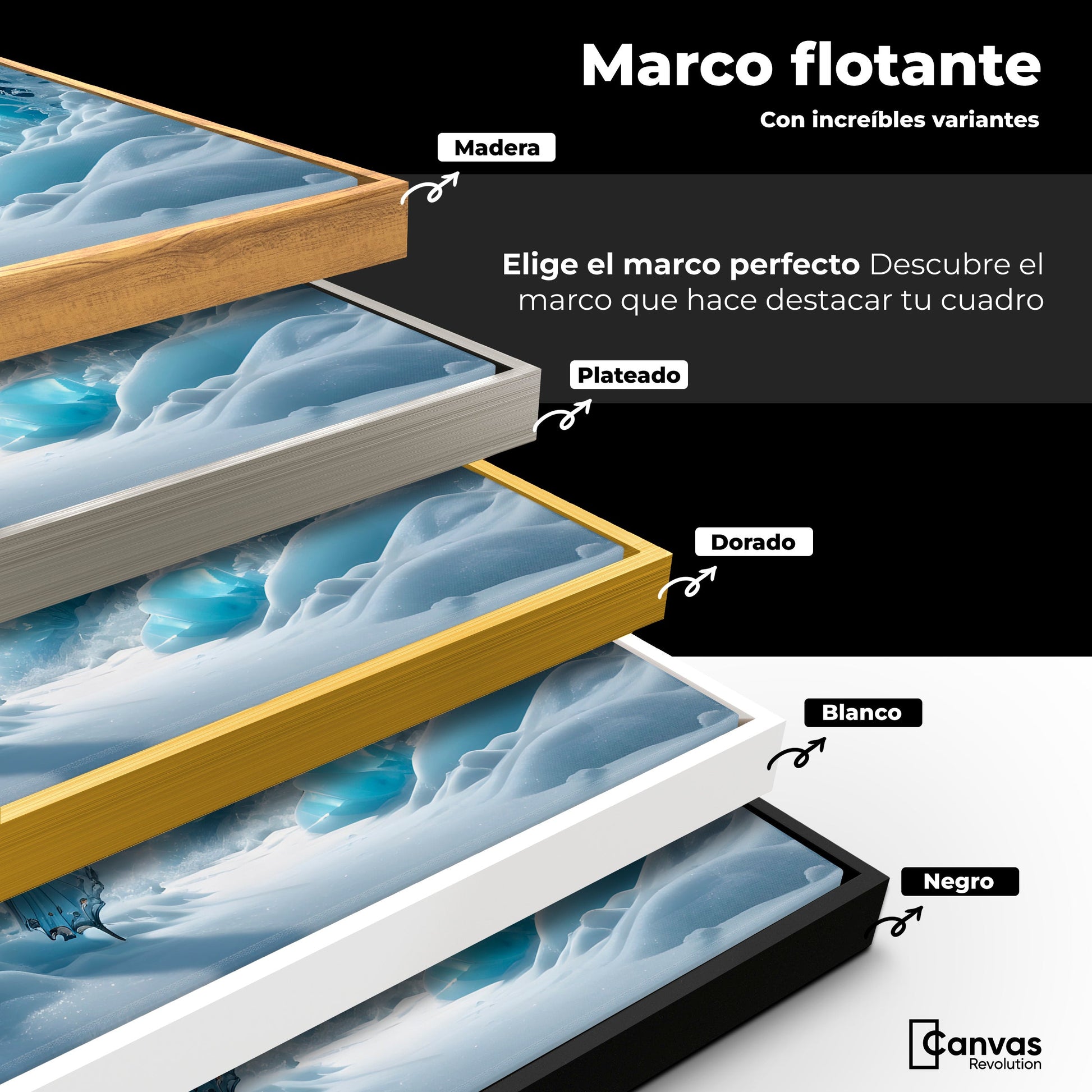 Cuadros Decorativos Canvas Revolution | Mariposa Glacial | ColoresMarco