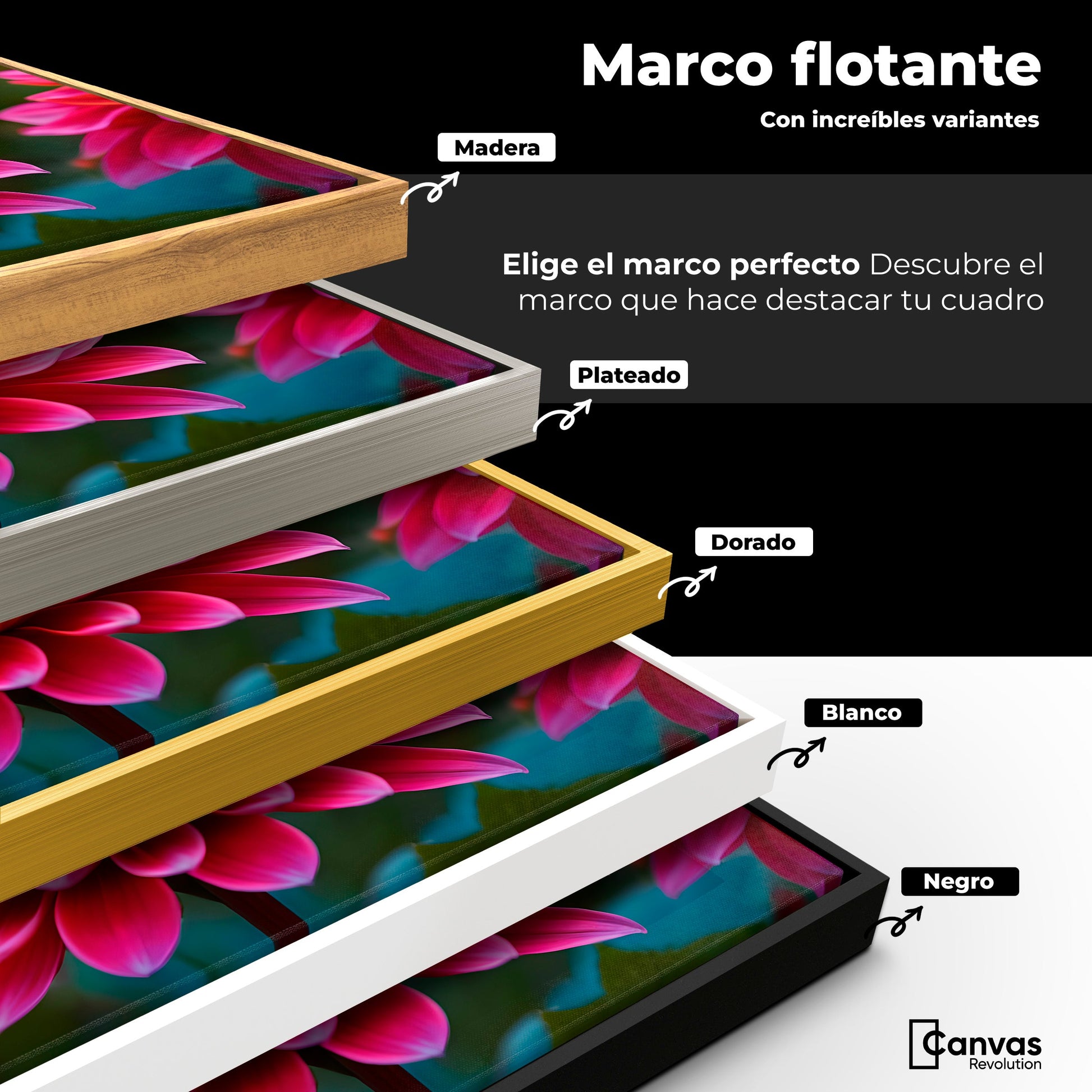 Cuadros Decorativos Canvas Revolution | Mariposa Radiante | ColoresMarco