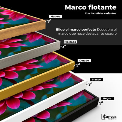 Cuadros Decorativos Canvas Revolution | Mariposa Radiante | ColoresMarco