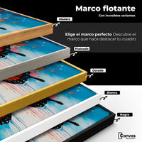 Cuadros Decorativos Canvas Revolution | Mariposa Y Arte | ColoresMarco