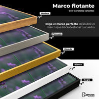 Cuadros Decorativos Canvas Revolution | Mariposa Y Lavanda | ColoresMarco