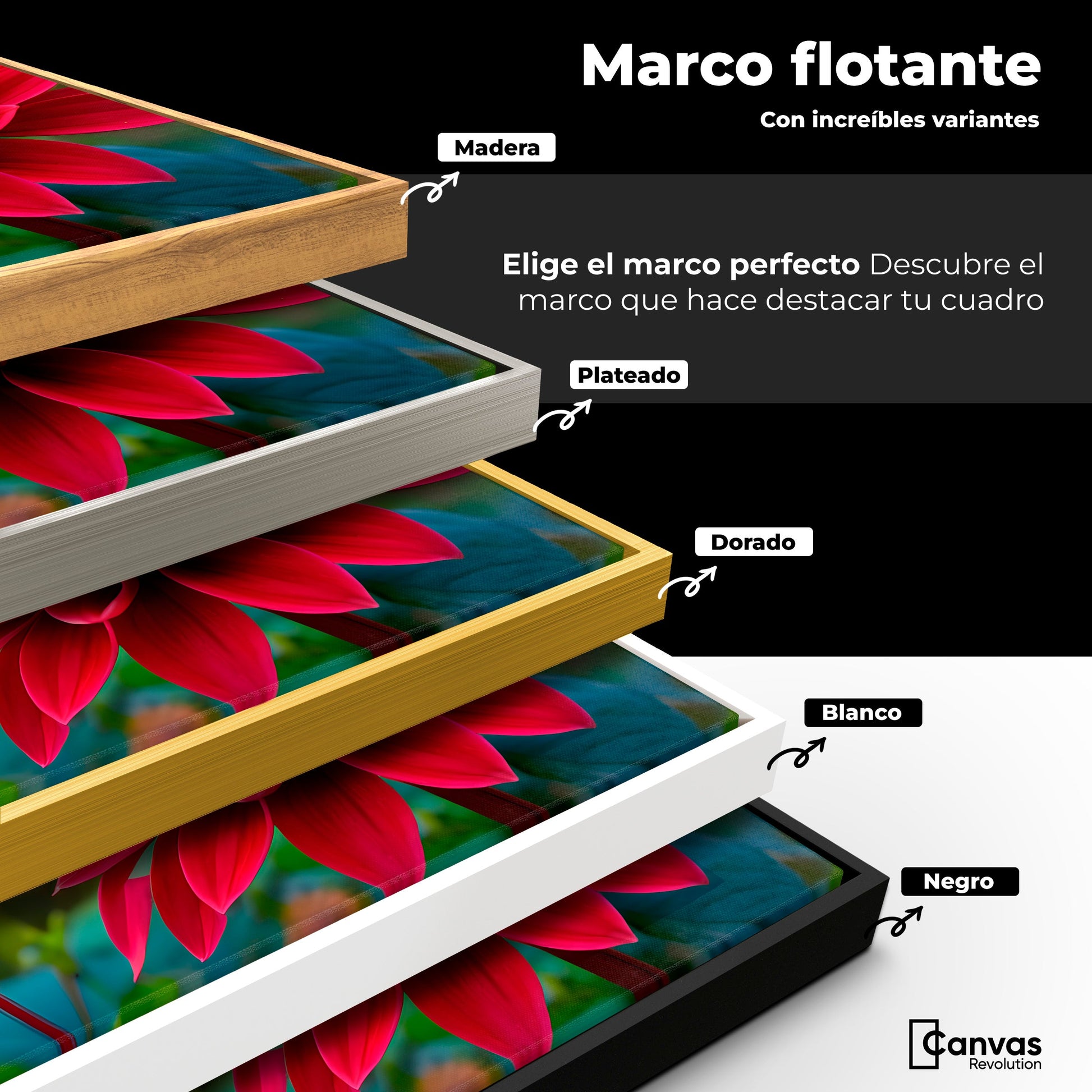 Cuadros Decorativos Canvas Revolution | Mariposa Y Petalos | ColoresMarco