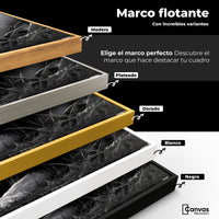 Cuadros Decorativos Canvas Revolution | Mirada Real | ColoresMarco