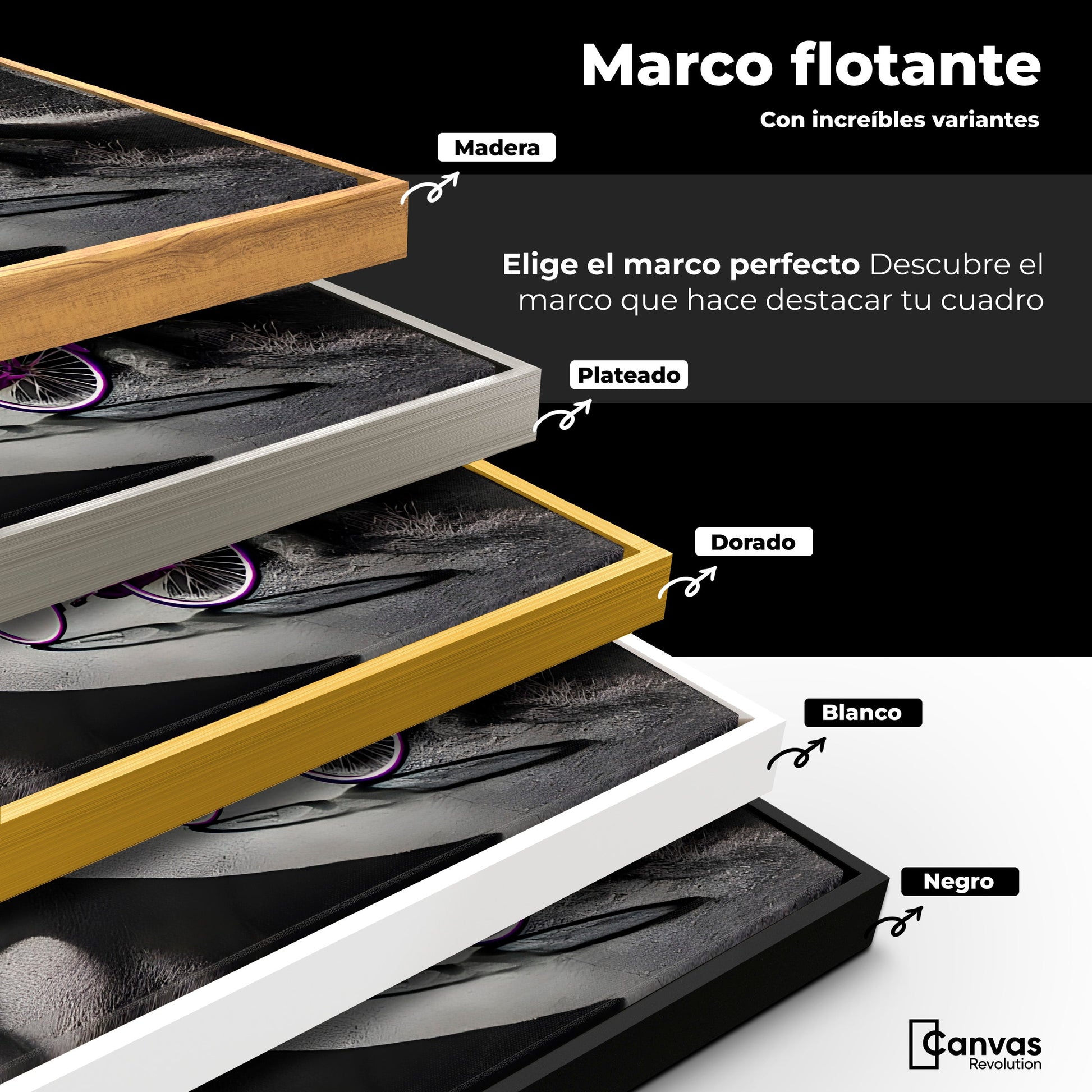 Cuadros Decorativos Canvas Revolution | Morado Natural | ColoresMarco
