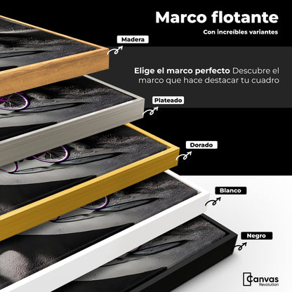 Cuadros Decorativos Canvas Revolution | Morado Natural | ColoresMarco