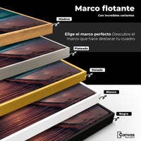 Cuadros Decorativos Canvas Revolution | Muelle Estrellado | ColoresMarco