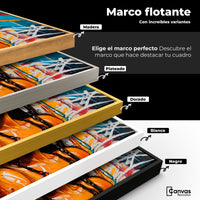 Cuadros Decorativos Canvas Revolution | Nativo Colorido | ColoresMarco