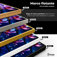 Cuadros Decorativos Canvas Revolution | Orquidea Luz Sutil | ColoresMarco