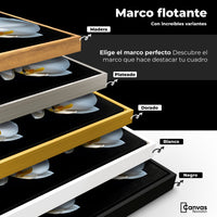 Cuadros Decorativos Canvas Revolution | Orquideas De Noche | ColoresMarco