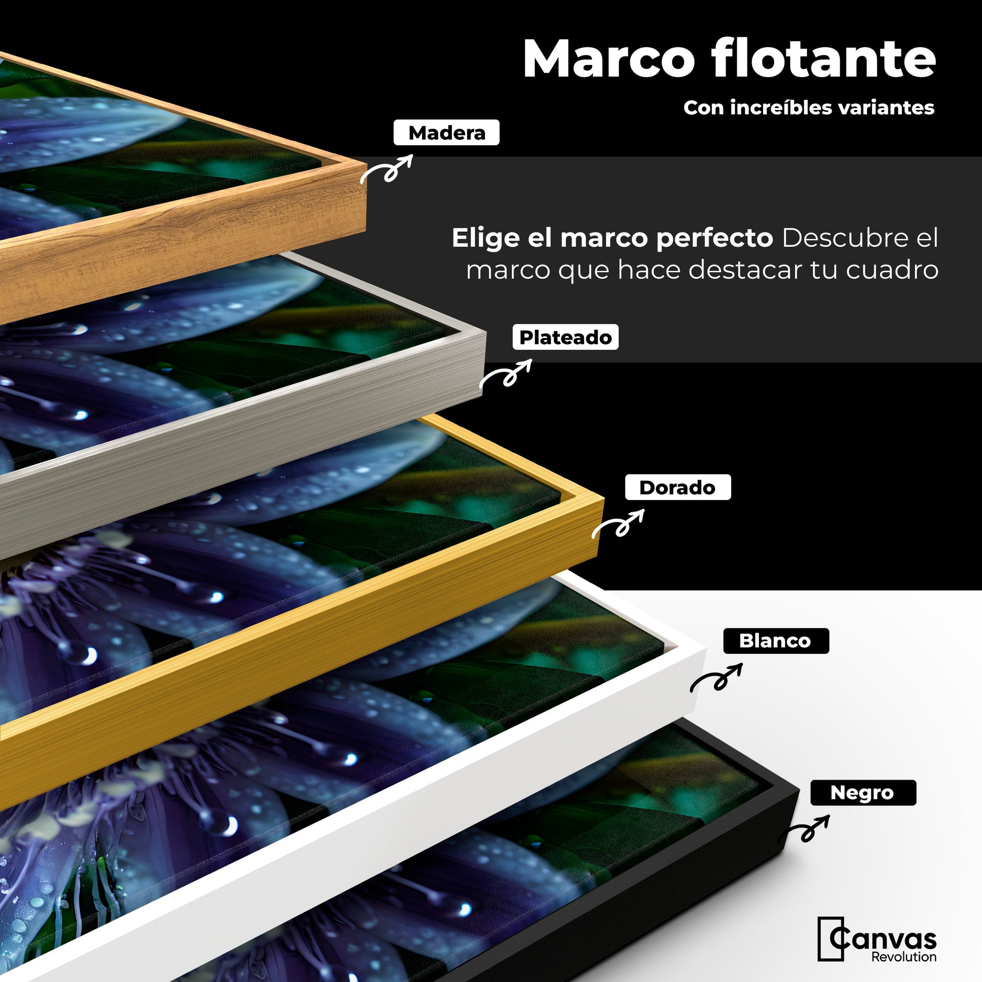 Cuadros Decorativos Canvas Revolution | Pasion Flor Eterna | ColoresMarco
