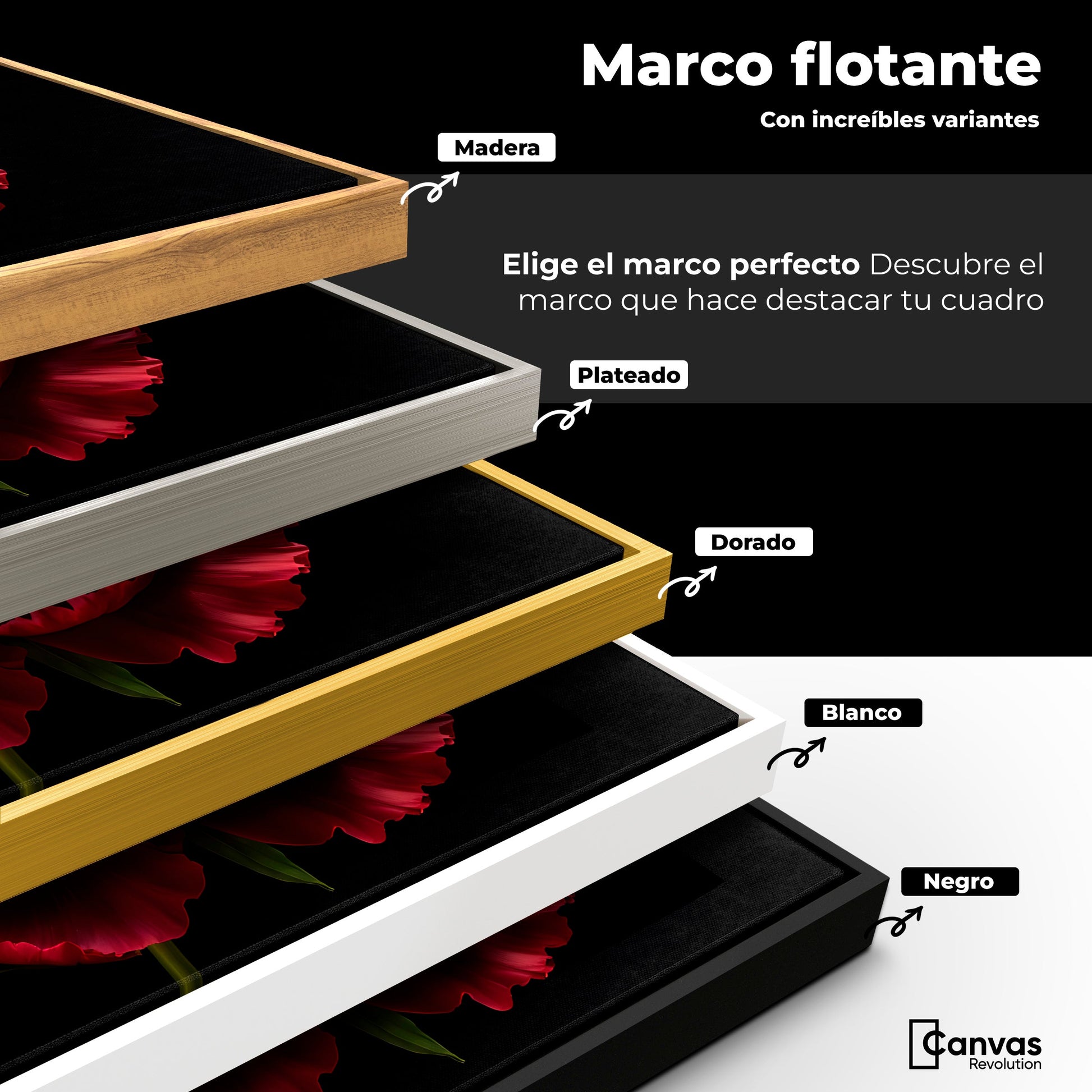Cuadros Decorativos Canvas Revolution | Peonia De Noche | ColoresMarco
