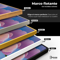 Cuadros Decorativos Canvas Revolution | Peonia Luz Eterna | ColoresMarco